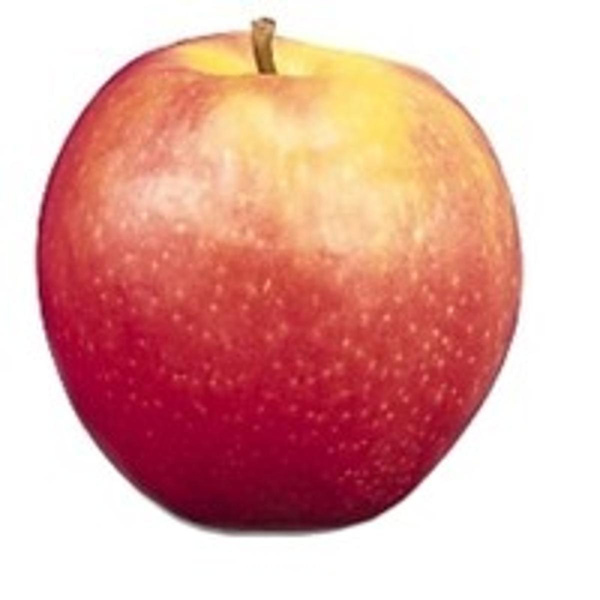 Produktfoto zu Apfel Pink Lady