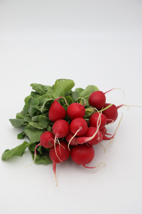 Produktfoto zu Radieschen
