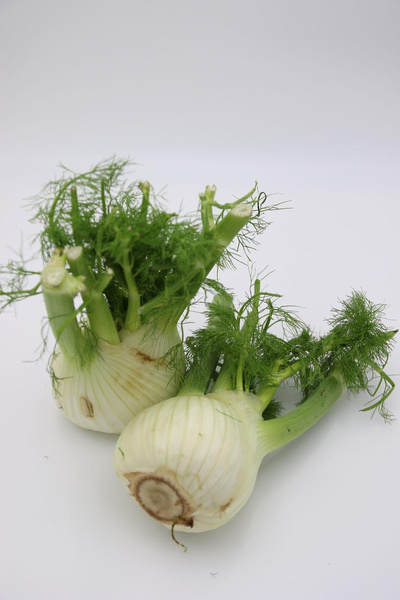 Produktfoto zu Fenchel