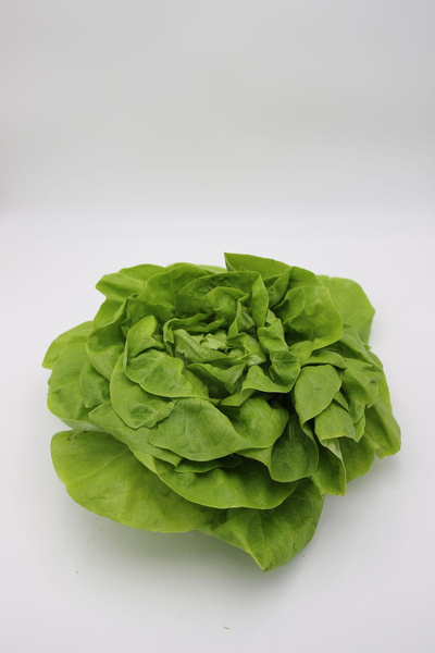 Produktfoto zu Kopfsalat