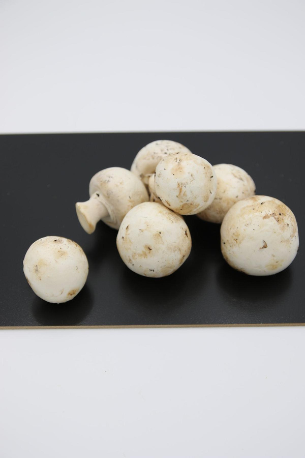 Produktfoto zu Champignons